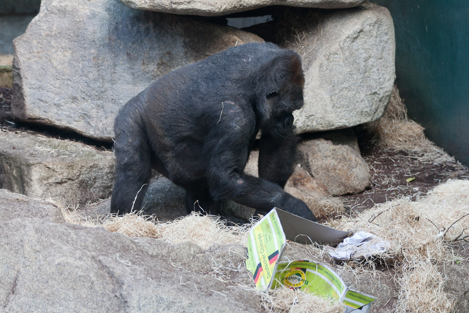 Tierpark-Hellabrunn-2014-IMG_7352.jpg