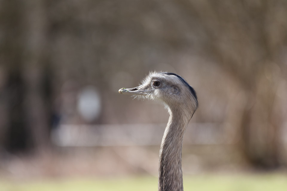 Tierpark-Hellabrunn-2014-IMG_7358.jpg