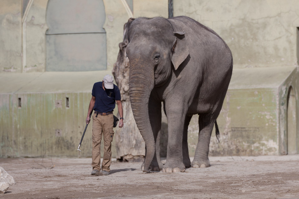 Tierpark-Hellabrunn-2014-IMG_7388.jpg