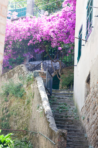 Cinque-Terre-IMG_9360.jpg