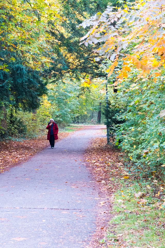 Karlsruhe-1030261.jpg