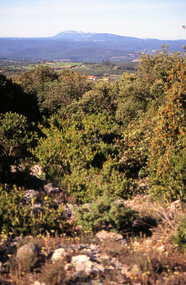 ardeche-199091-102_675171762_o.jpg