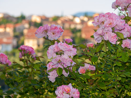 Tuscany-BTS-P0158294.jpg