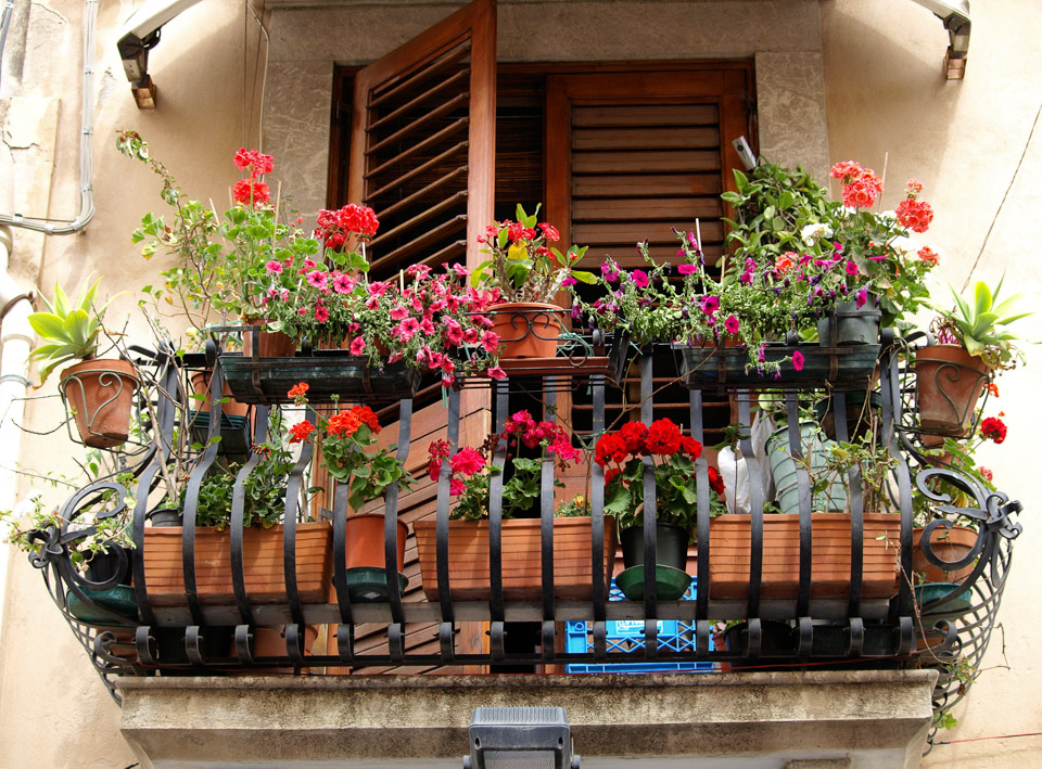 Sicily-May-2009---17.jpg