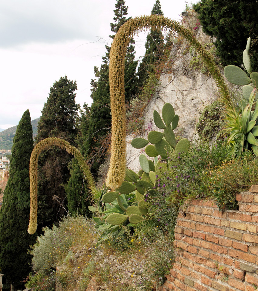 Sicily-May-2009---54.jpg