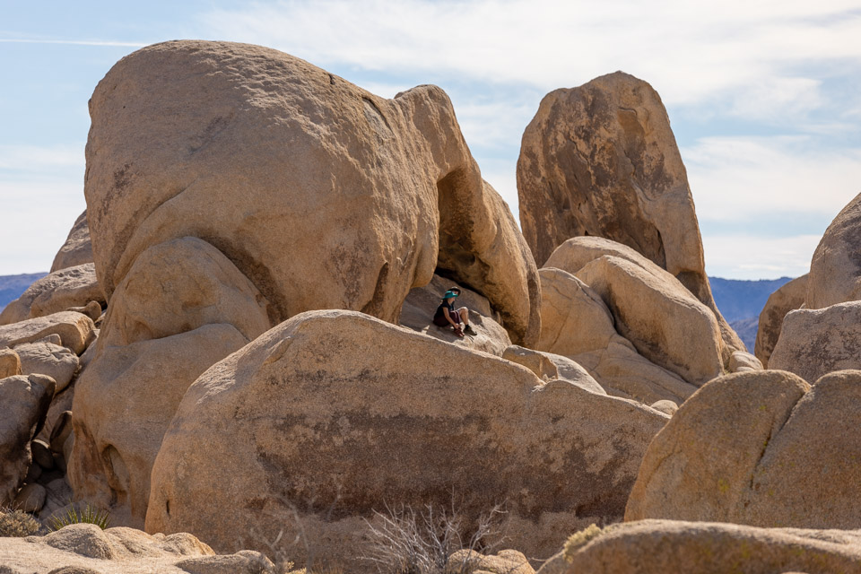 Joshua-Tree---9X5A6355.jpg