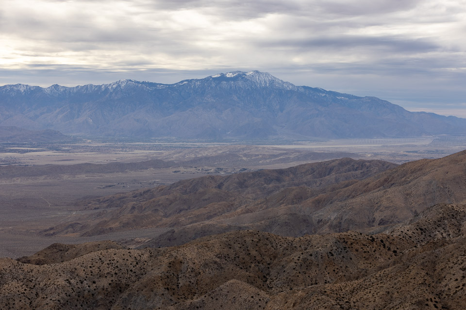 Joshua-Tree---9X5A6369.jpg