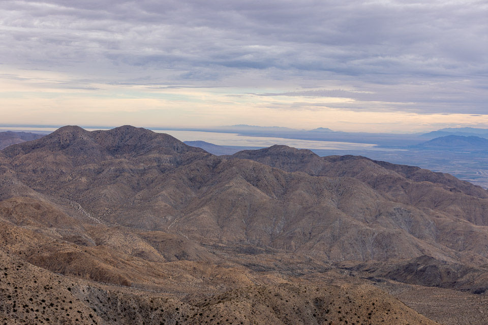 Joshua-Tree---9X5A6370.jpg