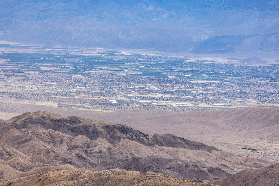 Joshua-Tree---9X5A6372.jpg