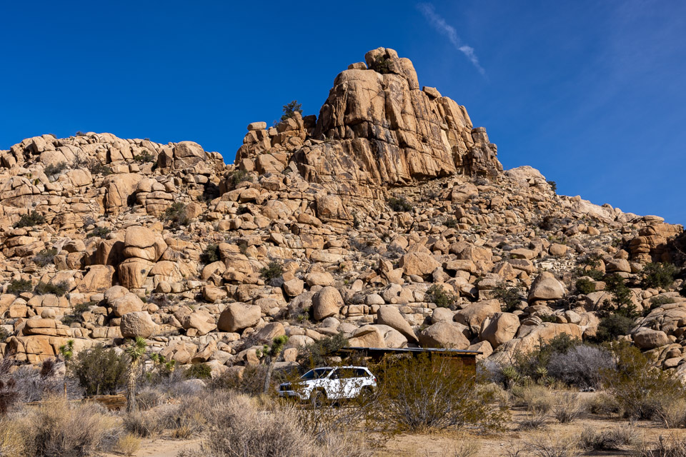 Joshua-Tree---9X5A6388.jpg