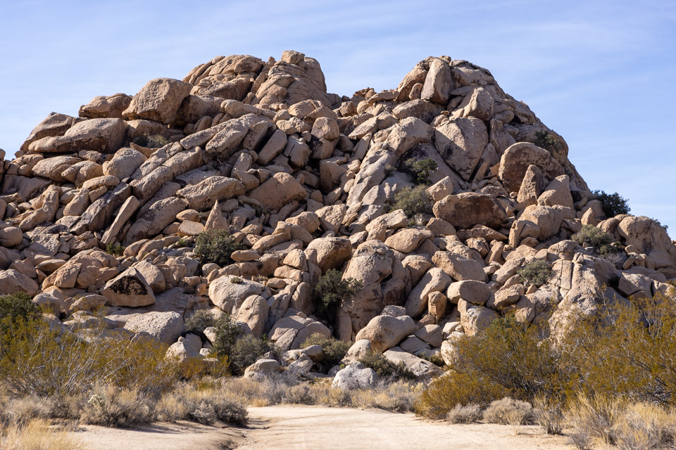 Joshua-Tree---9X5A6389.jpg