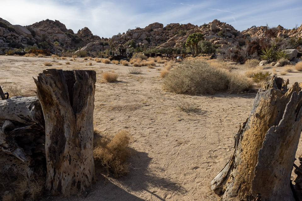 Joshua-Tree---9X5A6405.jpg