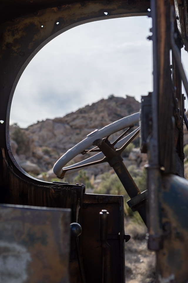 Joshua-Tree---9X5A6414.jpg