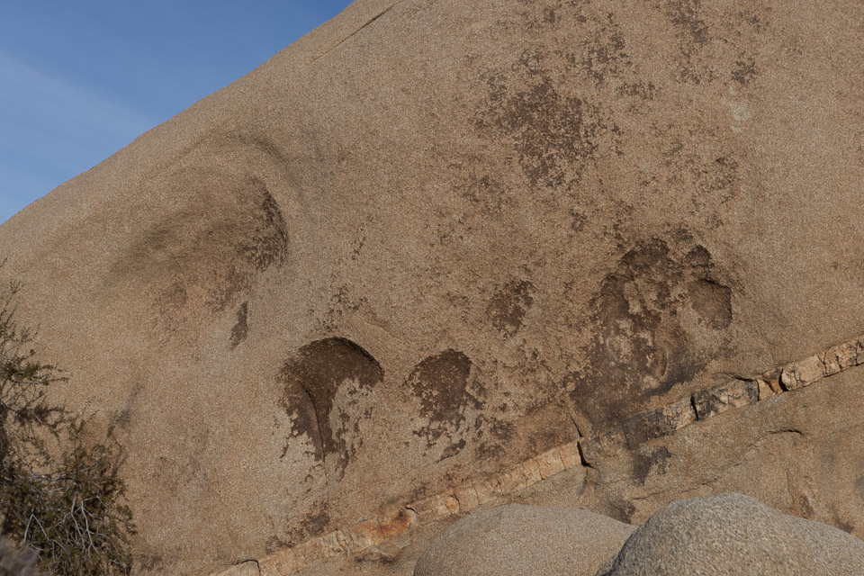 Joshua-Tree---9X5A6423.jpg