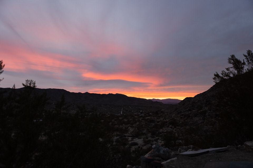 Joshua-Tree---9X5A6426.jpg