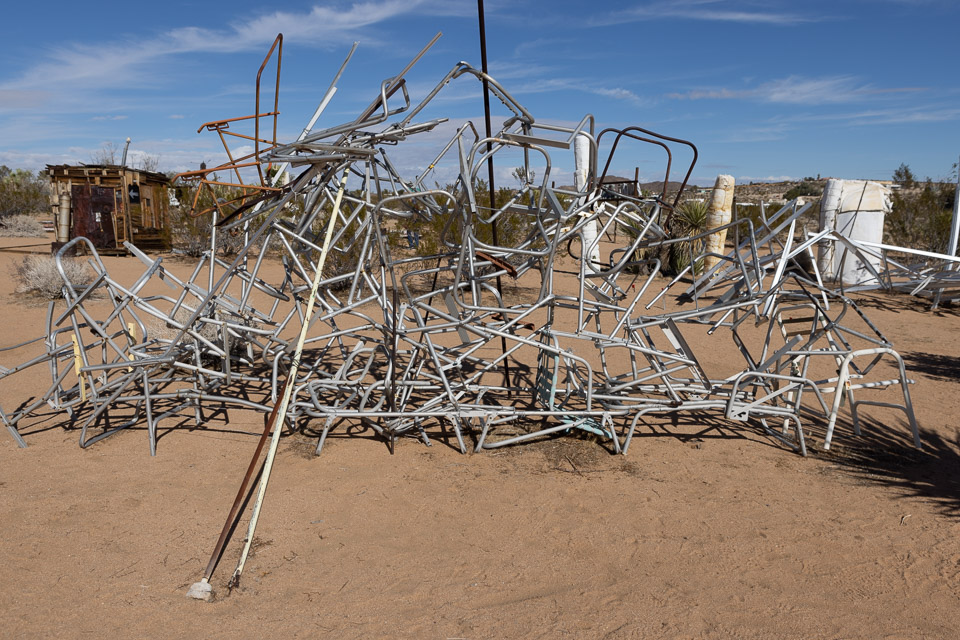 Joshua-Tree---9X5A6467.jpg