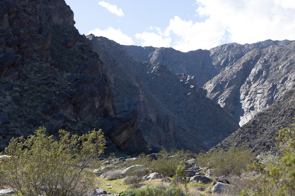 Joshua-Tree---9X5A6497.jpg