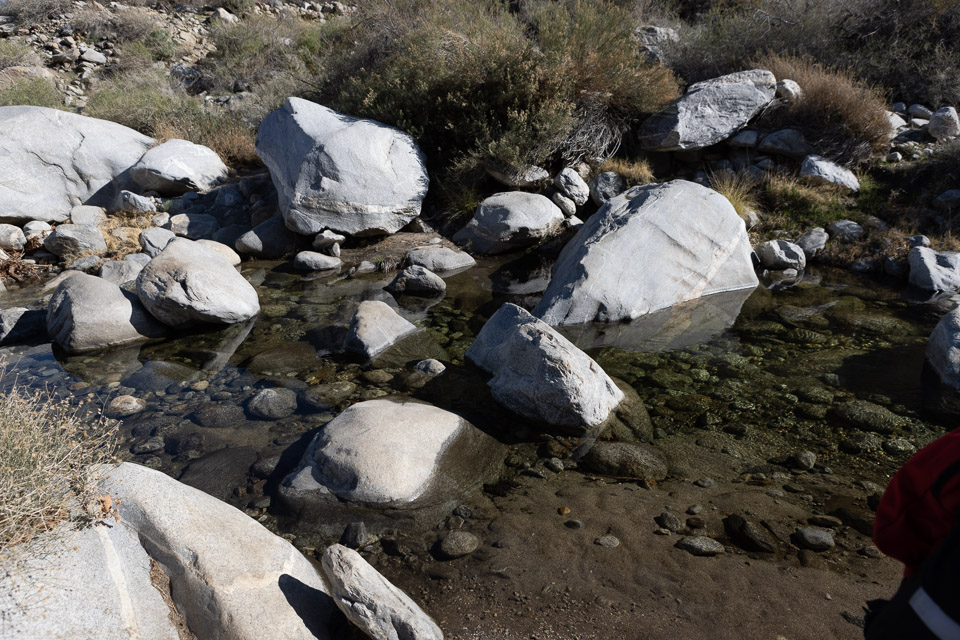 Joshua-Tree---9X5A6508.jpg