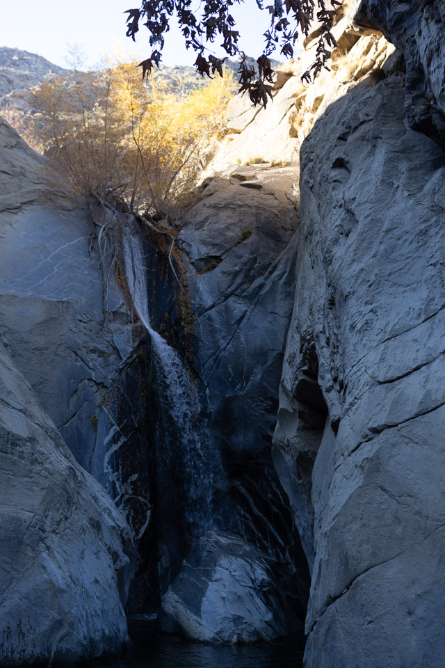 Joshua-Tree---9X5A6517.jpg