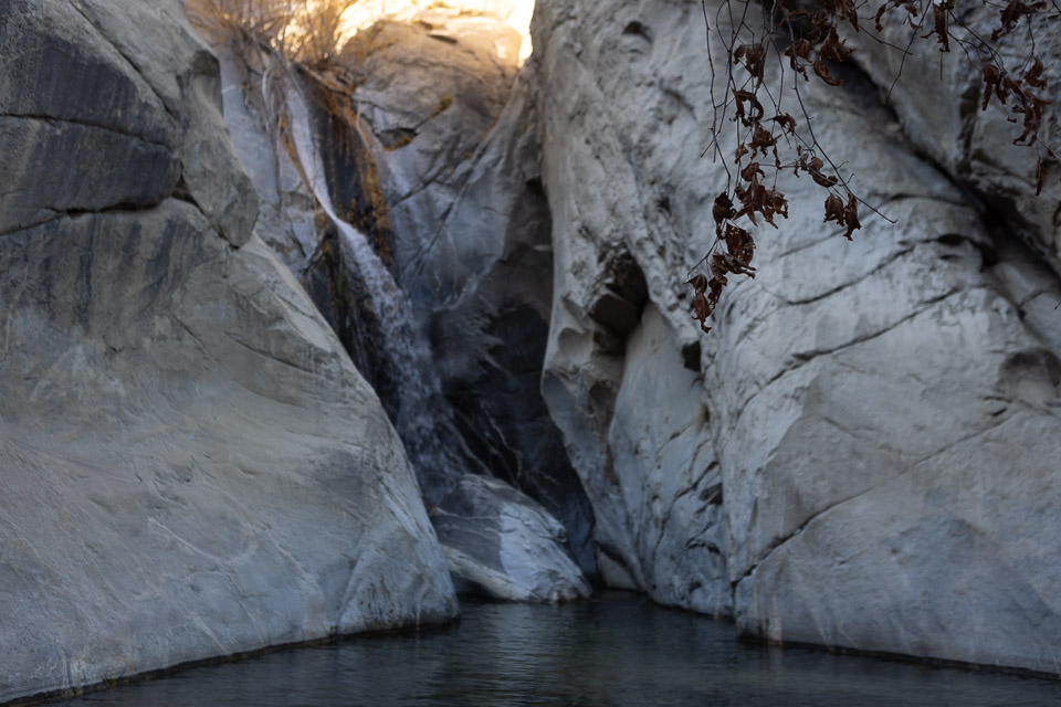 Joshua-Tree---9X5A6519.jpg