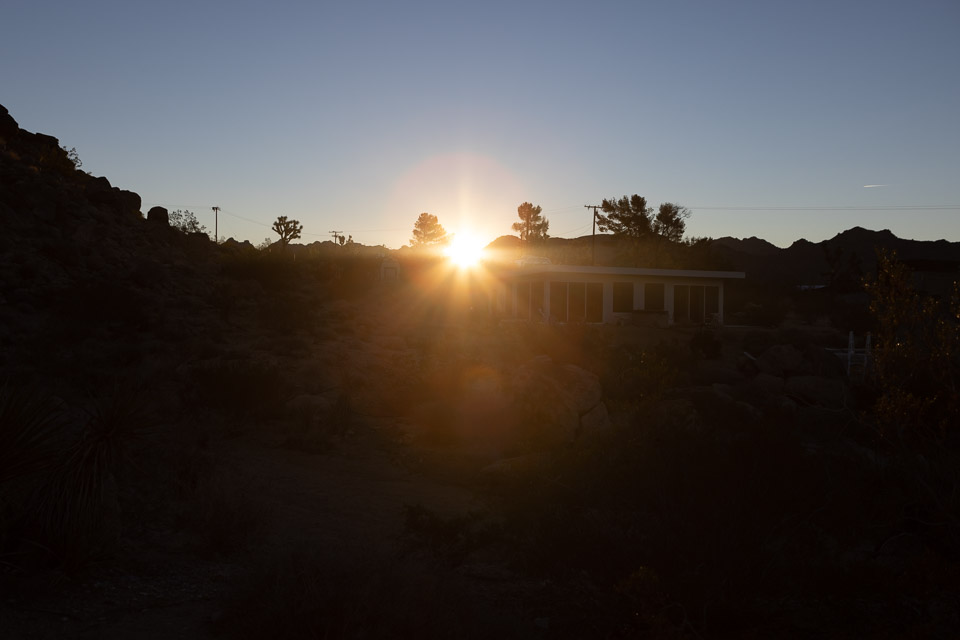 Joshua-Tree---9X5A6548.jpg