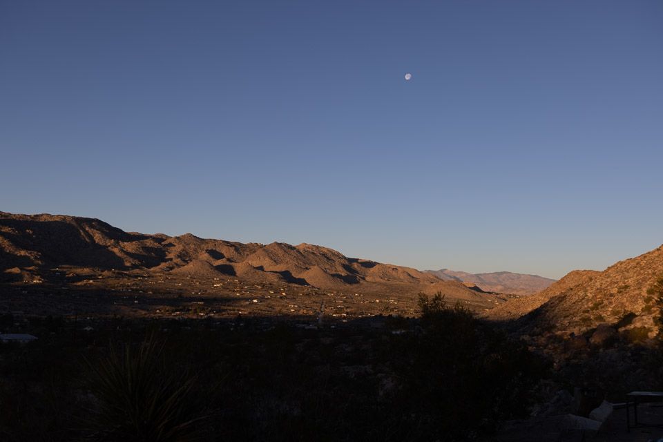 Joshua-Tree---9X5A6549.jpg