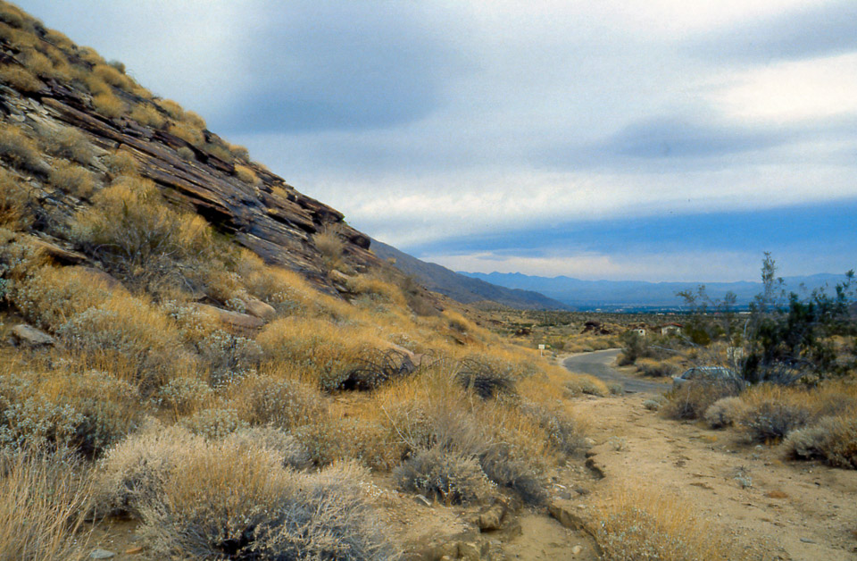 palm-springs--joshua-tree-np-scan-08_452186086_o.jpg