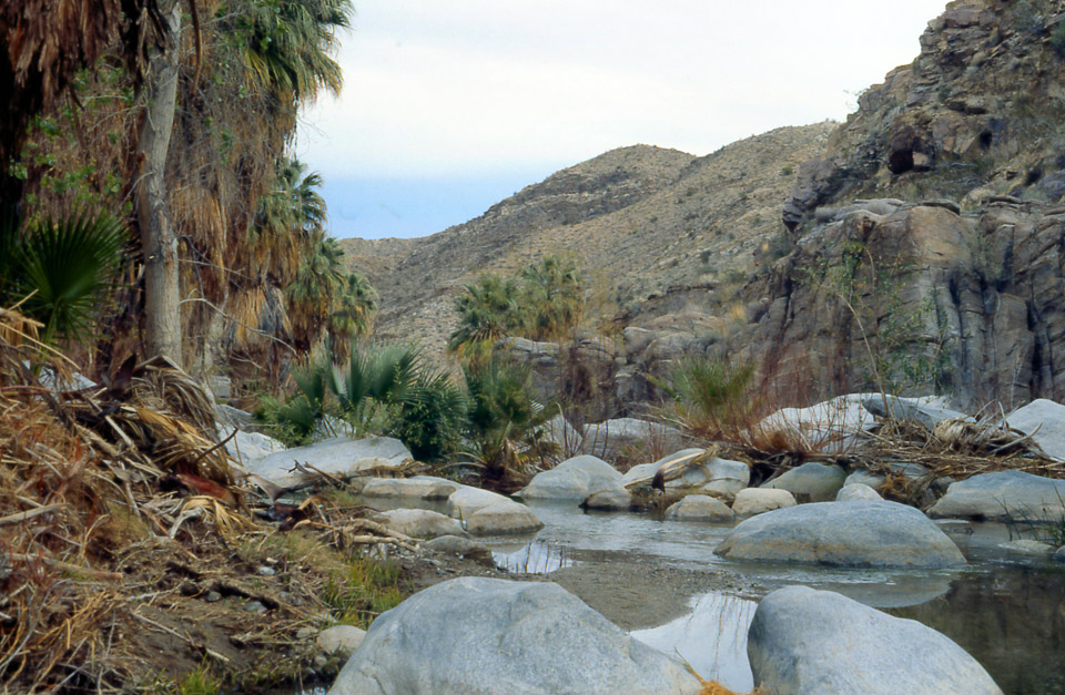 palm-springs--joshua-tree-np-scan-09_452187782_o.jpg