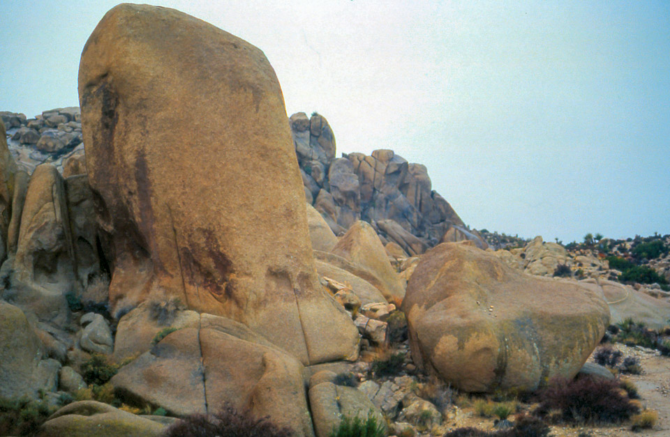 palm-springs--joshua-tree-np-scan-59_452293723_o.jpg