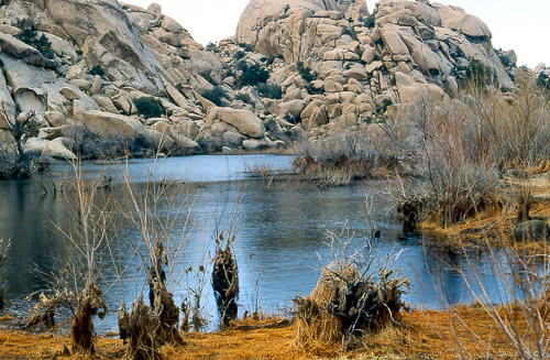 palm-springs--joshua-tree-np-scan-72_452305576_o.jpg