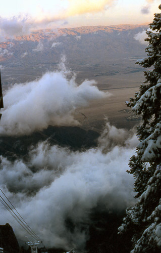 palm-springs--joshua-tree-np-scan-79_452339941_o.jpg