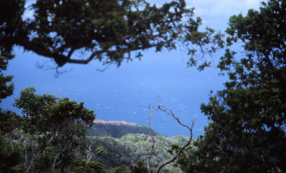 kauai-hawaii-1990-11_747591541_o.jpg