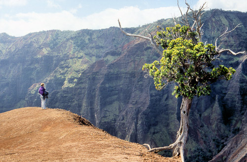 kauai-hawaii-1990-03_747501435_o.jpg