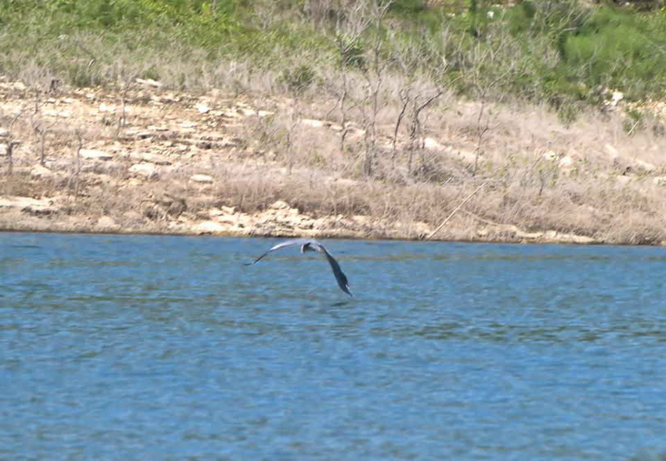 arkansas-2009-p7319608_3797771122_o.jpg