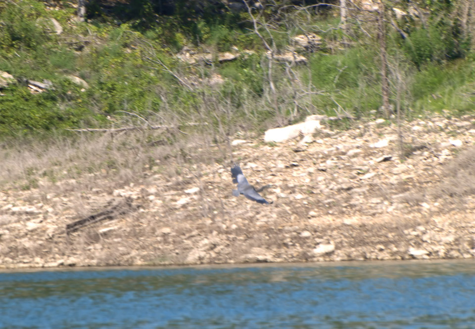 arkansas-2009-p7319610_3797772756_o.jpg