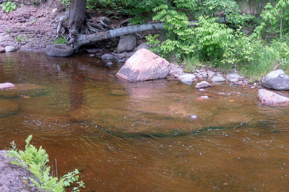 Minnesota-2018-06-P1020474.jpg