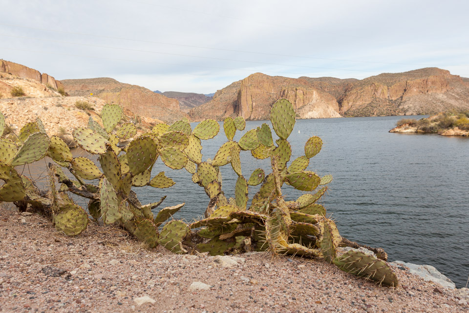 Apache-Trail-Scenic-3458.jpg