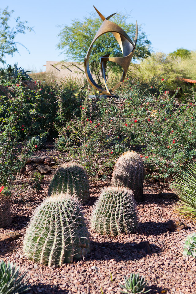 Desert-Botanical-Garden-3850.jpg