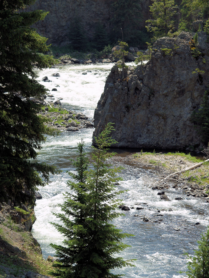 yellowstone-2008-010_2705948578_o.jpg