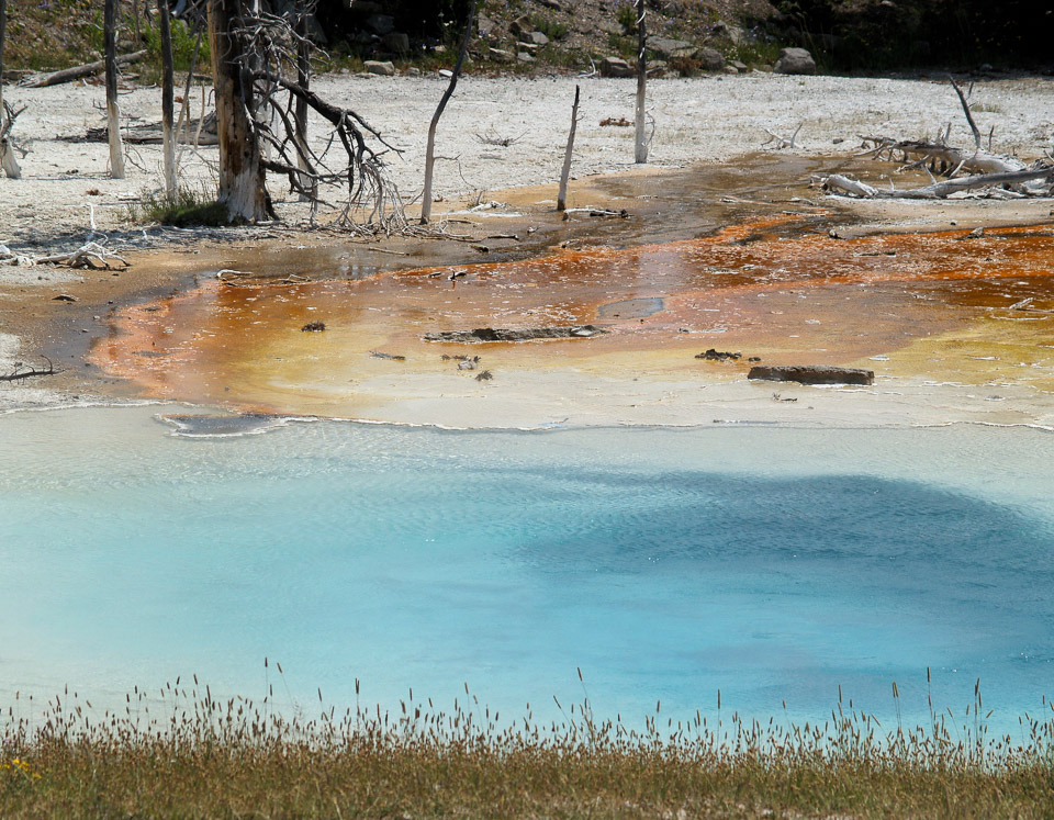 yellowstone-2008-016_2706033976_o.jpg