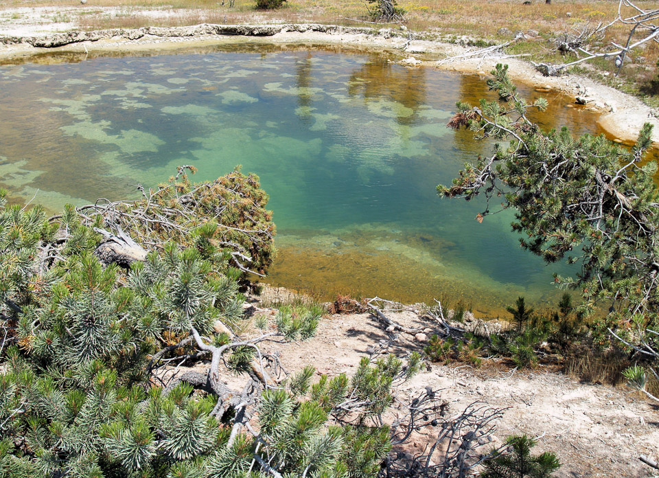 yellowstone-2008-019_2706053238_o.jpg