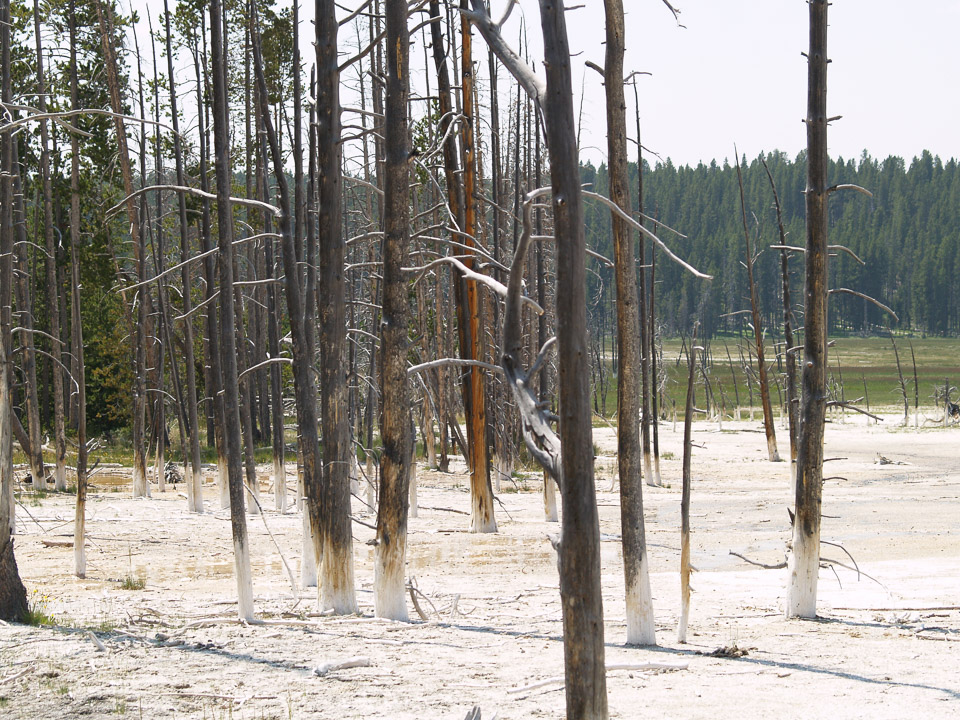 yellowstone-2008-024_2706077956_o.jpg