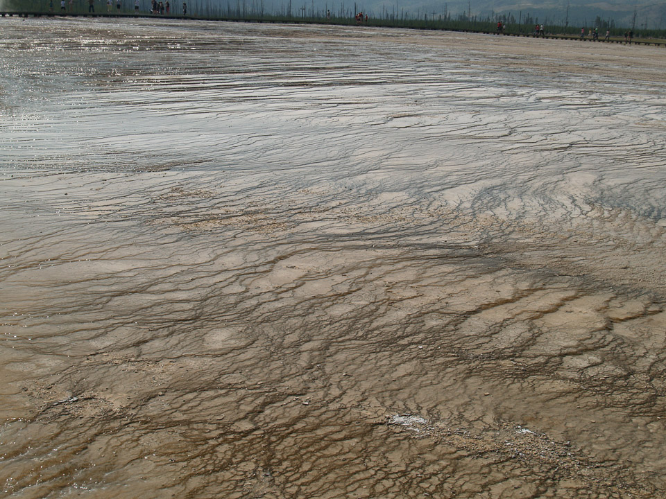 yellowstone-2008-053_2713343228_o.jpg