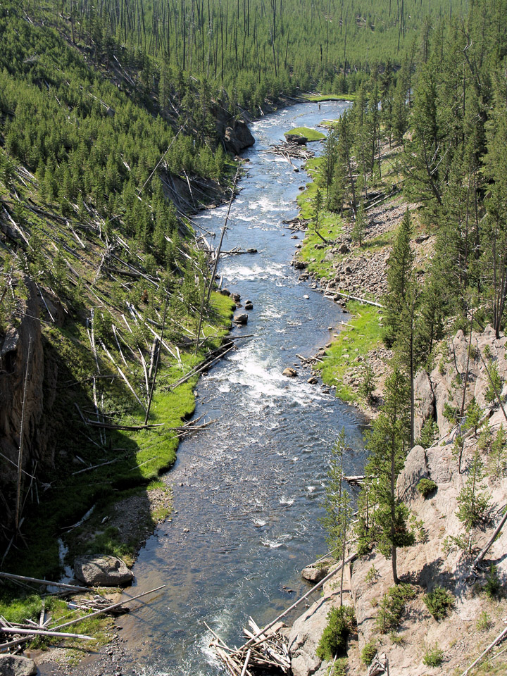 yellowstone-2008-059_2713362170_o.jpg