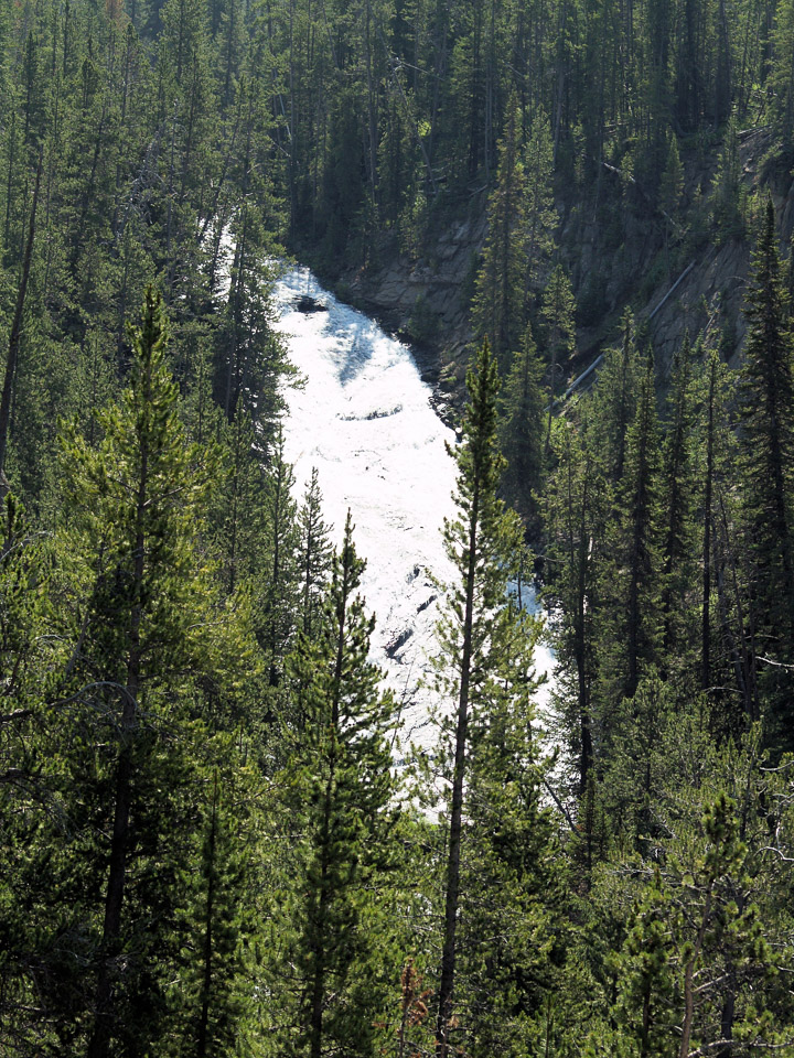 yellowstone-2008-070_2713393412_o.jpg