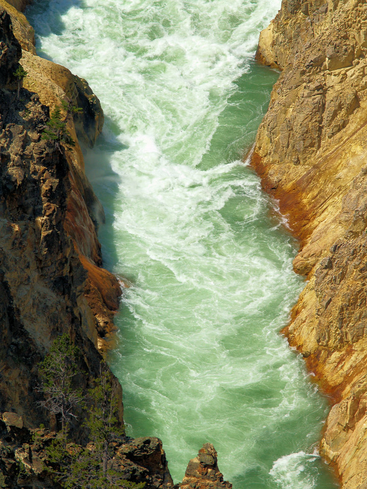 yellowstone-2008-091_2712641099_o.jpg