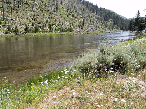 yellowstone-2008-001_2705260664_o.jpg