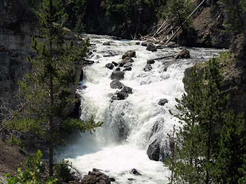 yellowstone-2008-011_2705969614_o.jpg